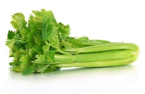 Ooty Celery